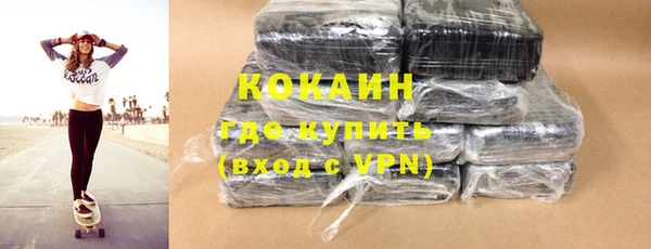 ПСИЛОЦИБИНОВЫЕ ГРИБЫ Ельня
