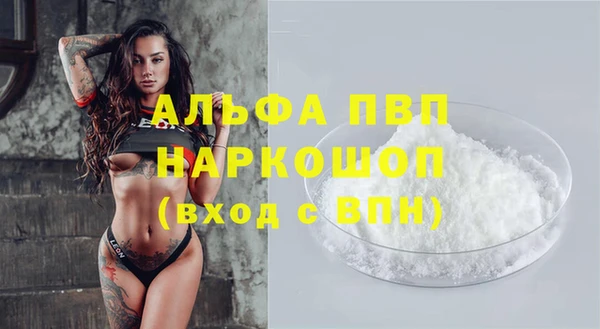 ПСИЛОЦИБИНОВЫЕ ГРИБЫ Ельня