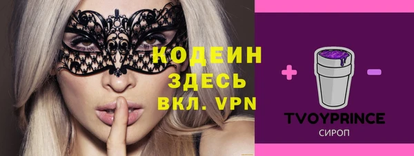 мет Елабуга