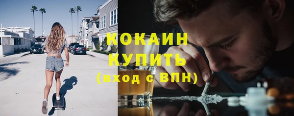 мет Елабуга