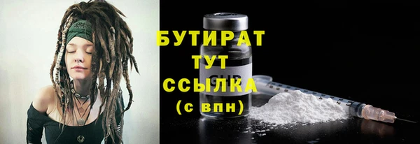 ПСИЛОЦИБИНОВЫЕ ГРИБЫ Ельня