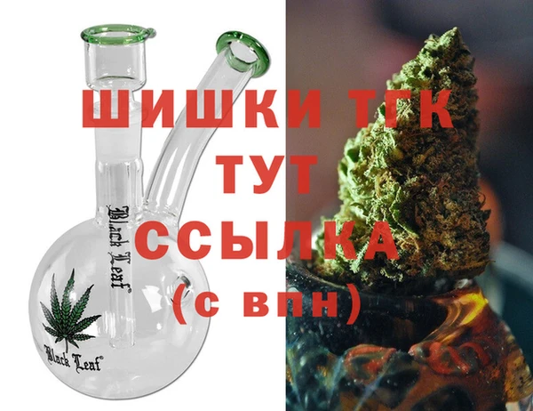 ПСИЛОЦИБИНОВЫЕ ГРИБЫ Ельня