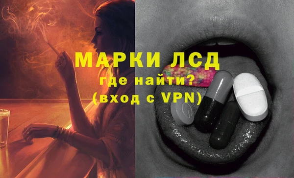 ПСИЛОЦИБИНОВЫЕ ГРИБЫ Ельня