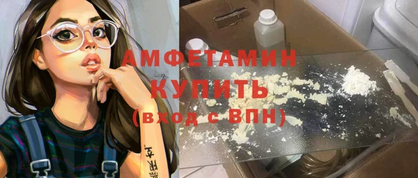ПСИЛОЦИБИНОВЫЕ ГРИБЫ Ельня