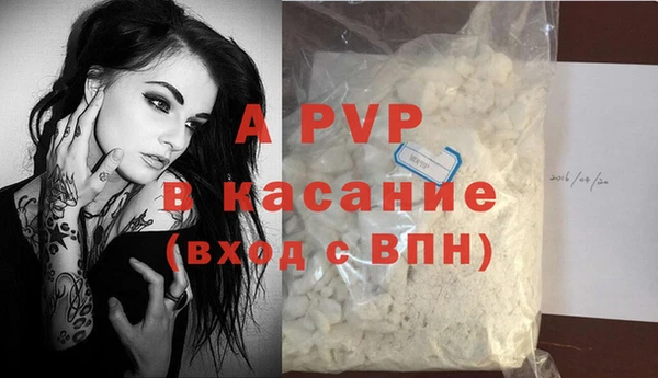 ПСИЛОЦИБИНОВЫЕ ГРИБЫ Ельня