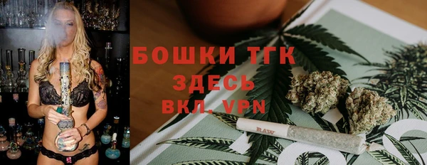 мет Елабуга