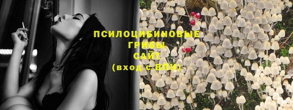 мет Елабуга