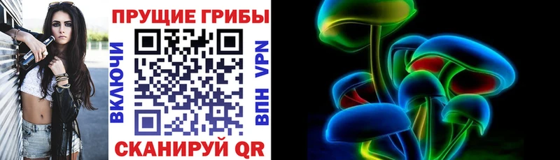Псилоцибиновые грибы мицелий  купить  цена  Закаменск 